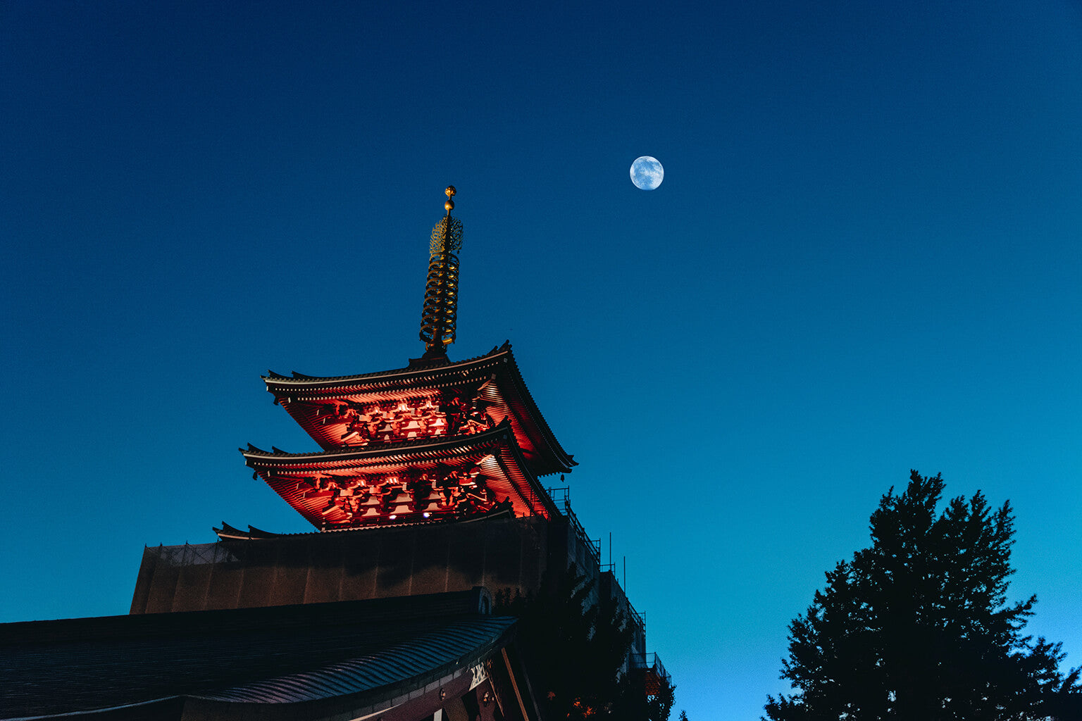 Sake for The “Tsukimi,” The Harvest Moon